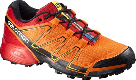 Salomon Speedcross Vario 379078