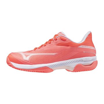 Produkt Mizuno Wave Exceed Court CC 61GC252166