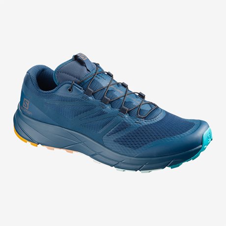 Salomon Sense Ride 2 MMB Limited 408987