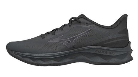 Mizuno Wave Serene 2 GTX J1GC256001